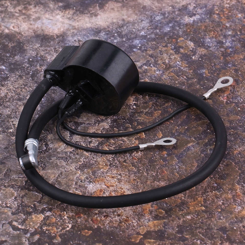 фото №7, Модуль катушки зажигания малого двигателя dla двигателя tecumseh 30560a 29632