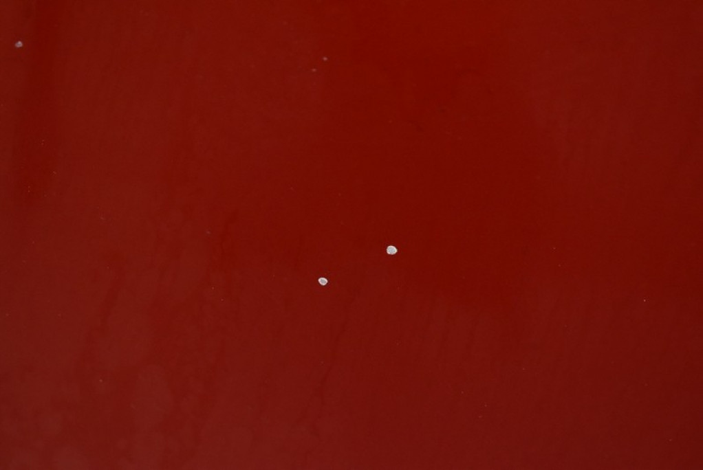 фото №6, Капот кришка двигуна czerwona nissan primera p12 01-08