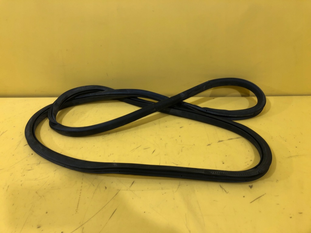 фото №1, Dacia sandero - прокладка кузовна двері правий задня