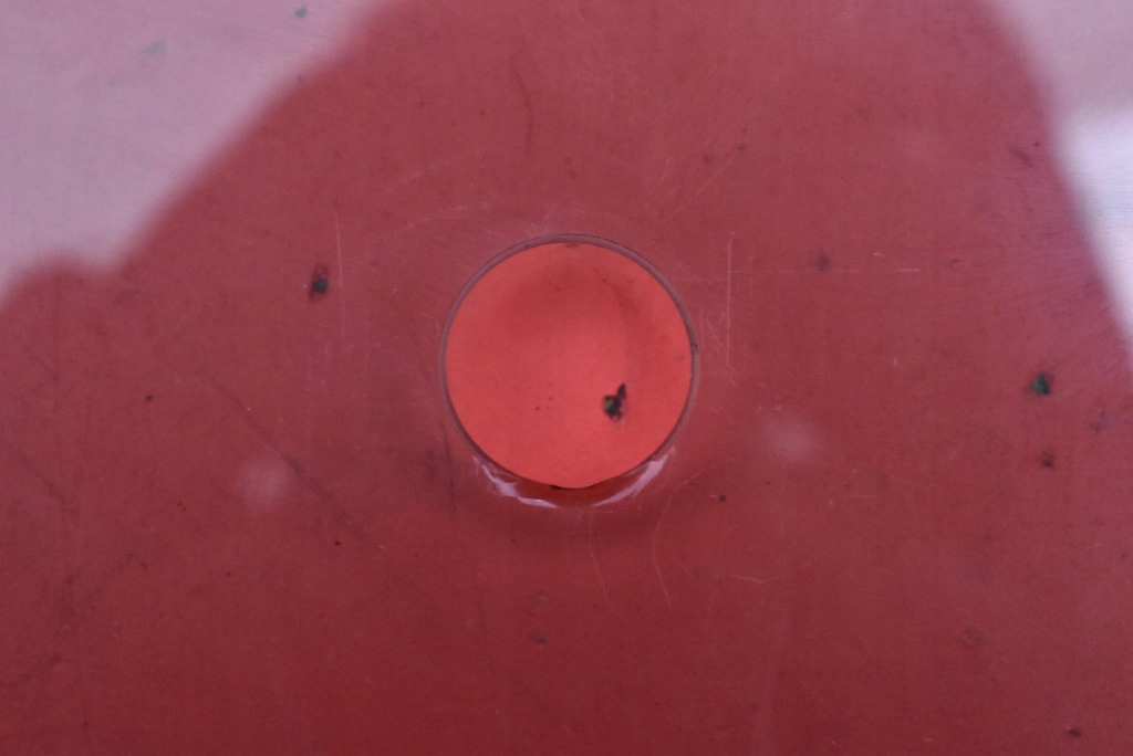 фото №3, Стекло боковая левая перед передняя mini cooper r56 06-10