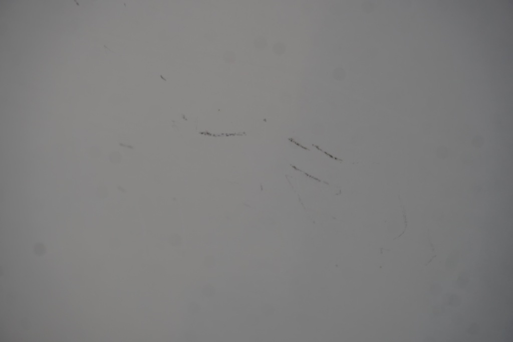 фото №10, Suzuki baleno fe двері задні ліва 26u білий 2019rok скло