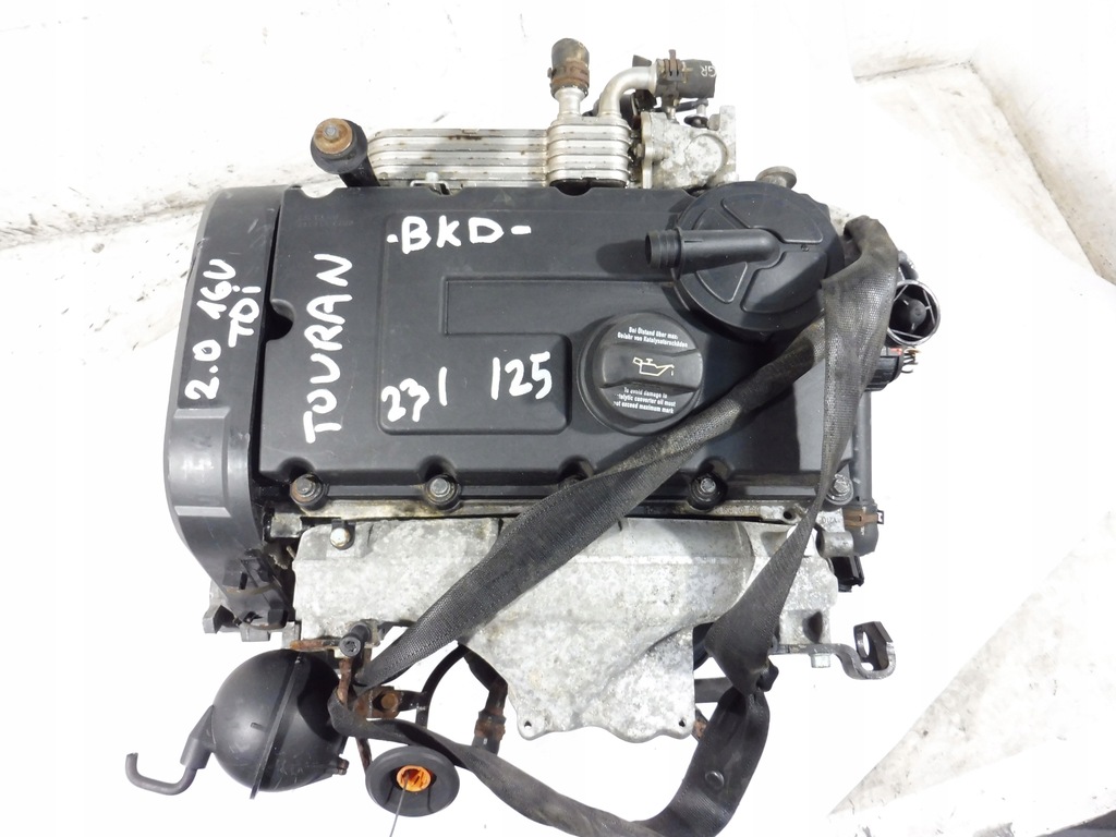 фото №9, Двигатель блок двигателя bkd azv vw touran golf v audi a3 8p seat altea 2.0 16v tdi