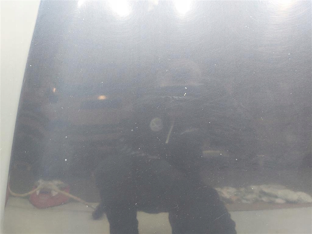 фото №14, Капот кришка передня mazda mpv 2003r granatowa