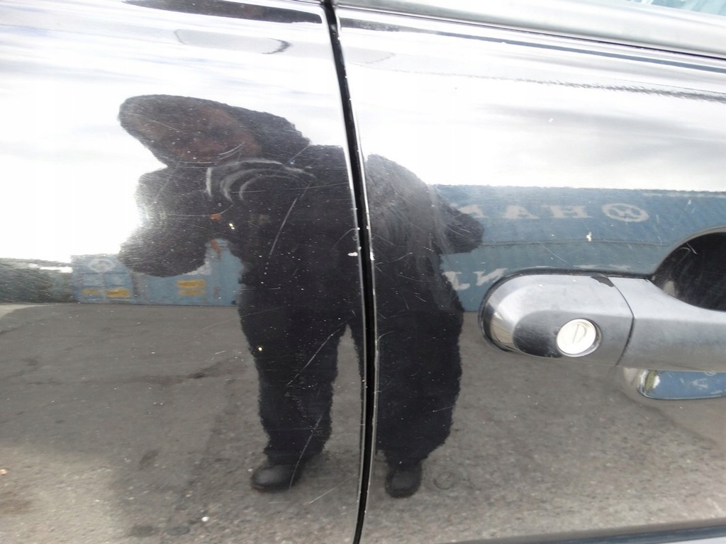 фото №2, Двері правий перед передні kia sportage ii -10 9p