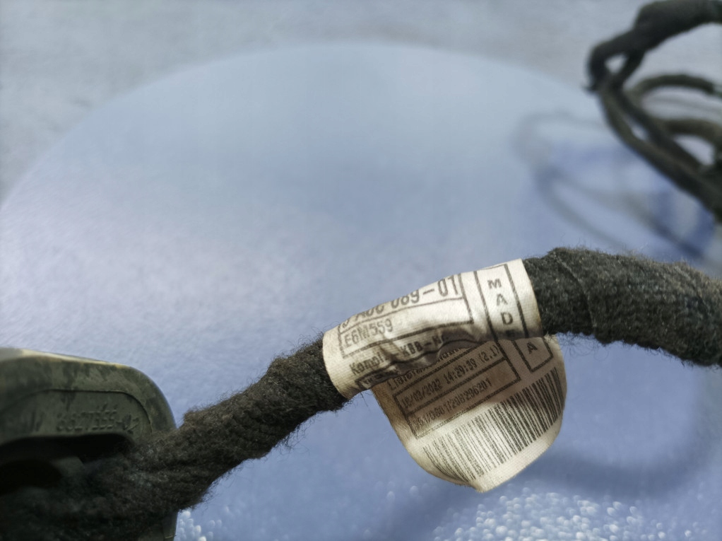 фото №6, Bmw 3 g20 g21 m3 g80 жгут электропроводка дверь задняя правая 5a0c089