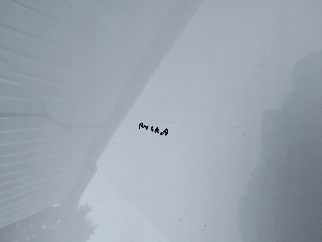 Купить Капот renault laguna 2 рестайлинг  цвет ted69 2005-2007 оригинал