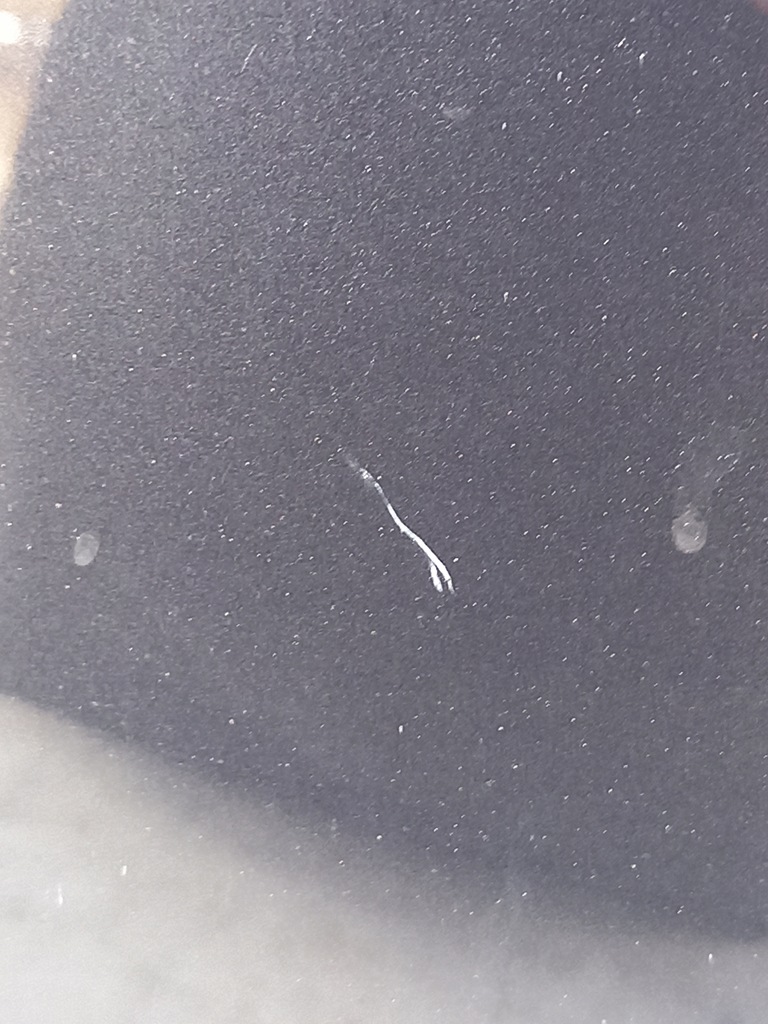 фото №6, Капот bmw 5 g30 g31