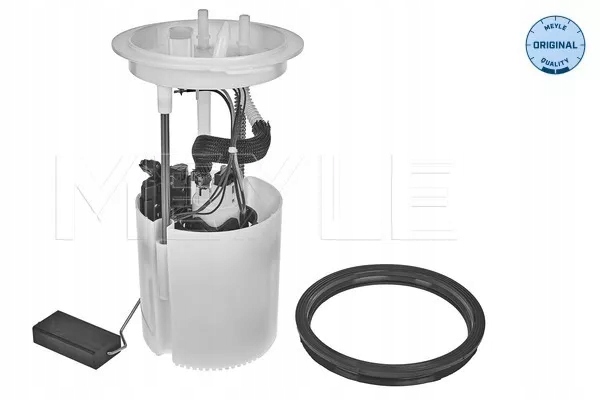 фото №1, 1009190083 насос pal. модуль vw golf 2,0fsi 04-