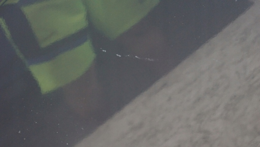 фото №13, Дверь левый перед chevrolet captiva