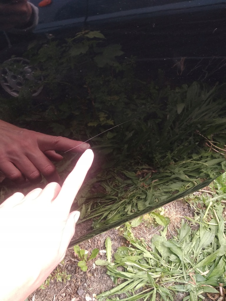 фото №3, Дверь левая задние левый задняя opel insignia a z20r