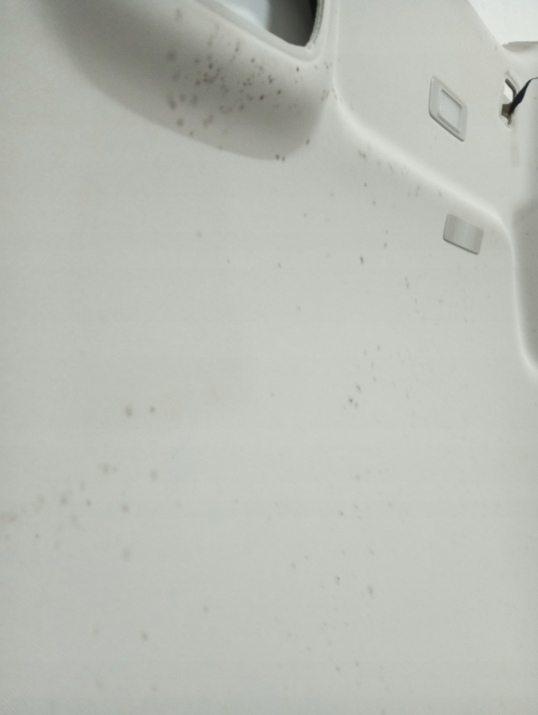 фото №5, Потолок renault grand scenic iv 4 21r 739100434r