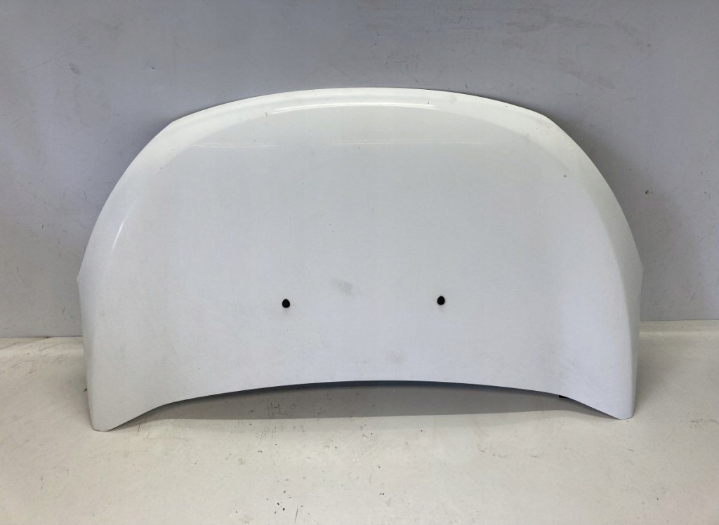 фото №1, 651007793r капот dacia lodgy 2012-2022