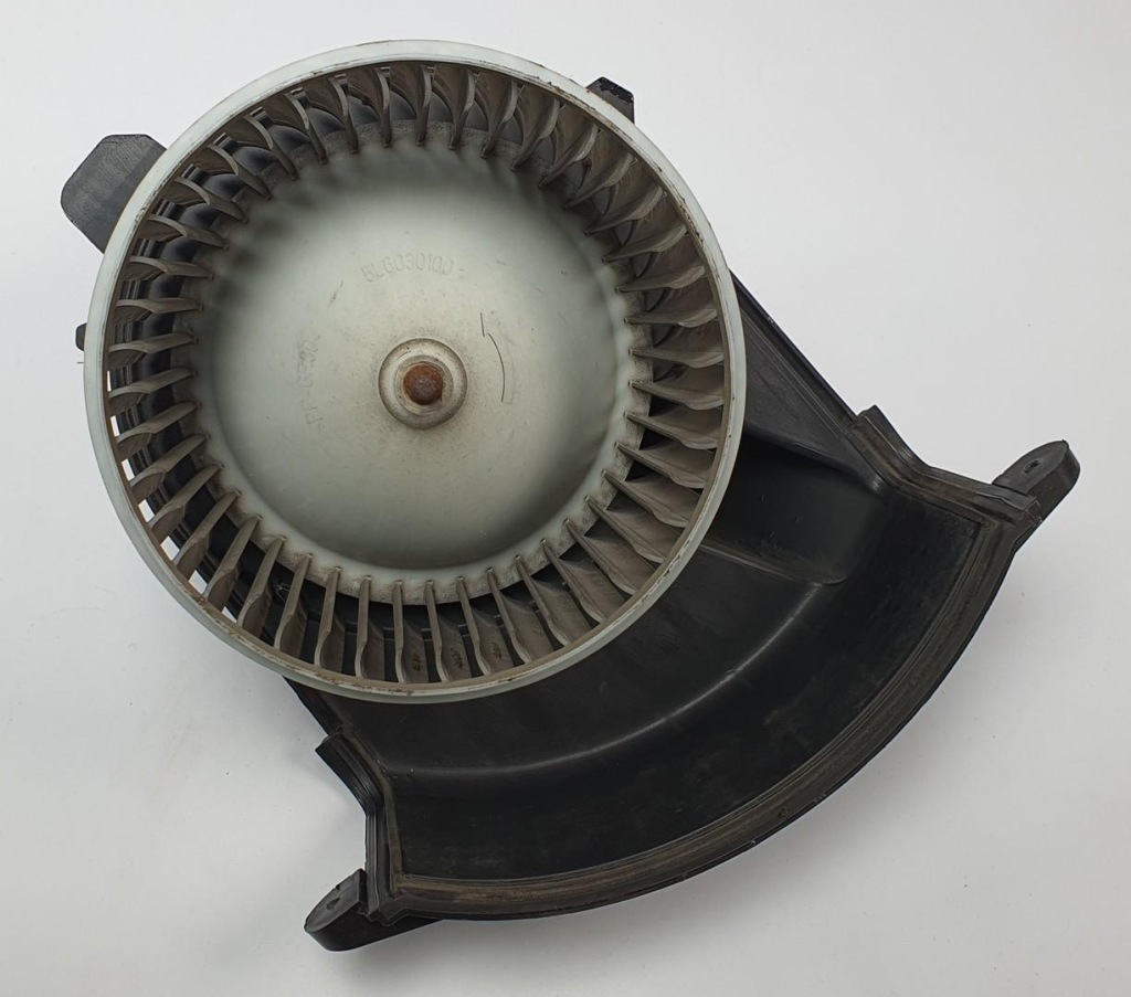 Купить Вентилятор воздуходувка renault kangoo ii 173830100