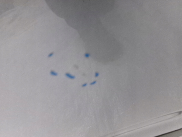 фото №7, Citroen c4 cactus lift дверь задние левая kcac