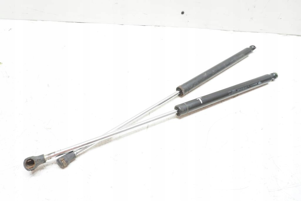 фото №1, Амортизаторы крышки задняя привод renault laguna ii hb