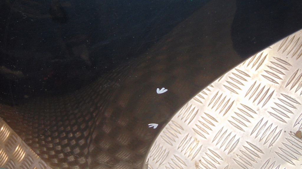 фото №9, Крила лівий передній subaru forester e6a