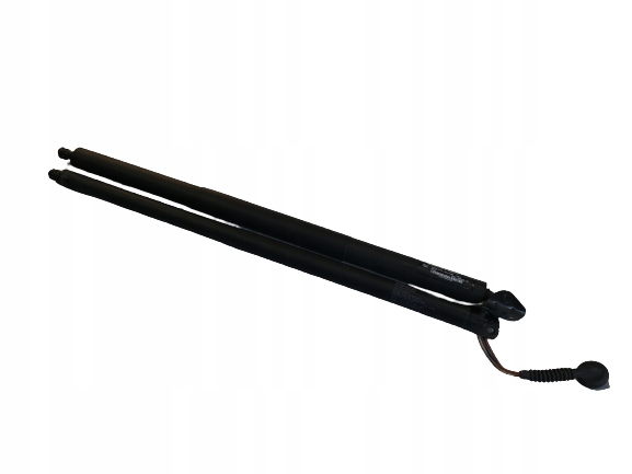 фото №1, Амортизаторы крышки электрический ford kuga mk2