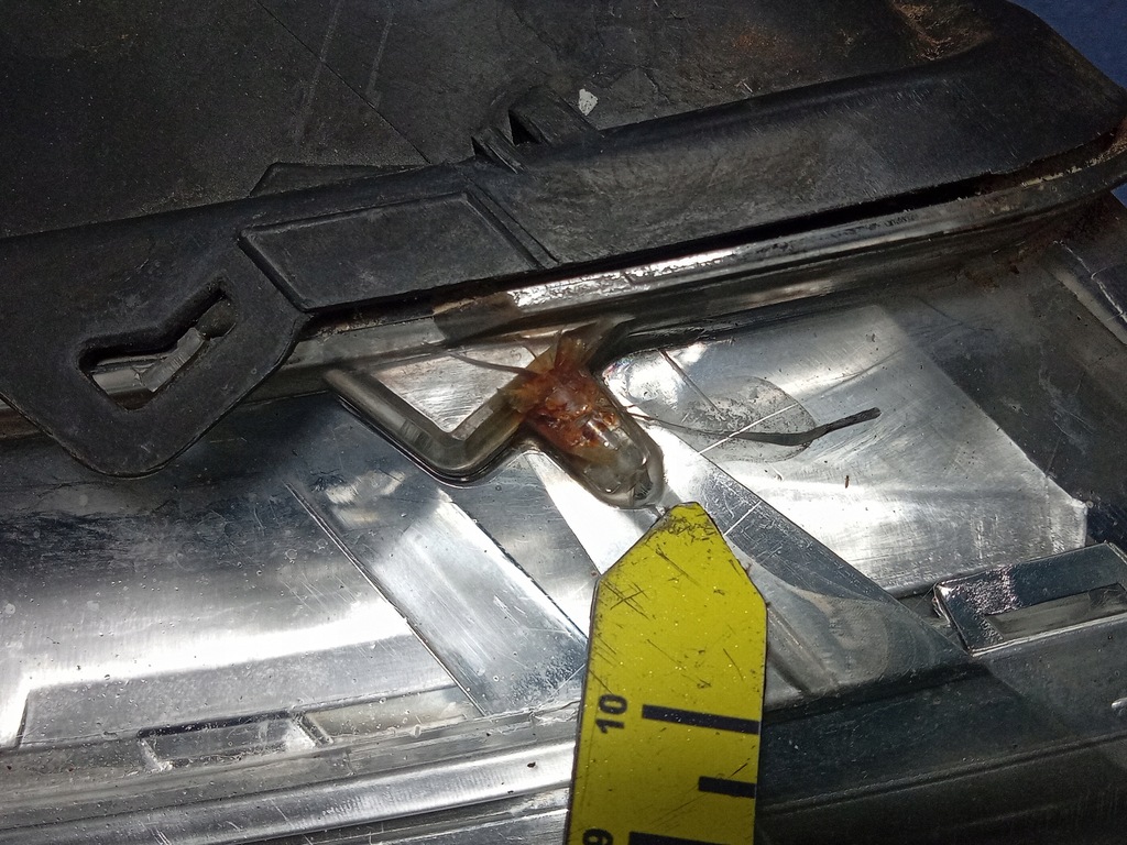 фото №10, Vw phaeton фара лівий ксенон eu 3d1941015h