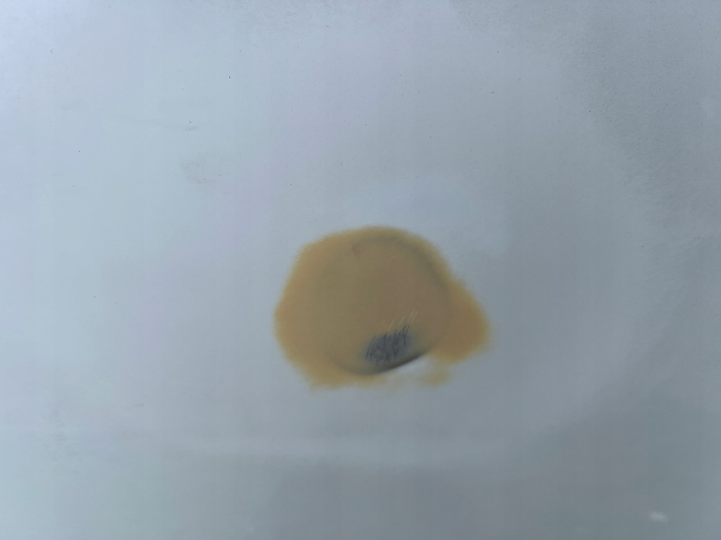 фото №7, Tesla 3 капот