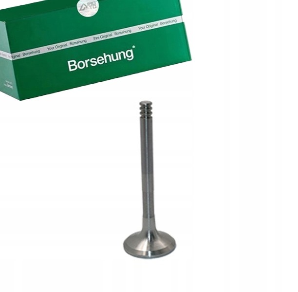 фото №1, Клапан випускний borsehung do vw new beetle 1.9 tdi