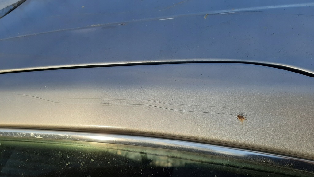 фото №7, Infiniti i30 i35 maxima a33 дверь левый задняя