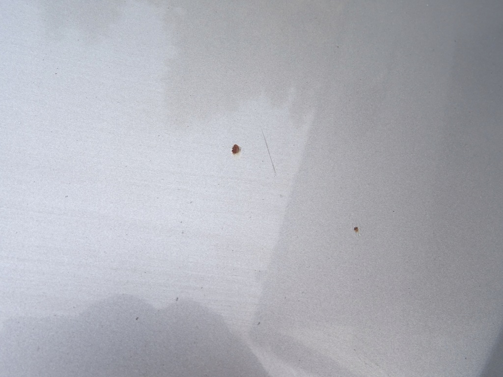 фото №7, Капот крышка двигателя skoda fabia ii 2 roomster 5j0 06-10 9202