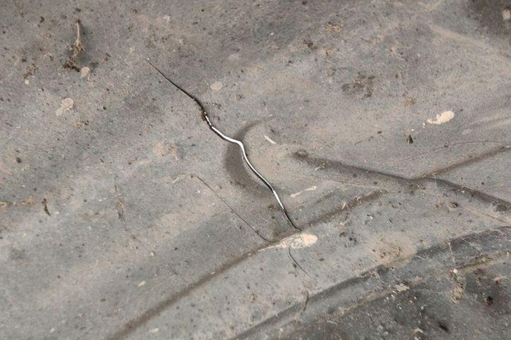 фото №10, Підкрилок ліва задні subaru legacy v bm 59122ag010 2.0l бензиновий 118kw 2005