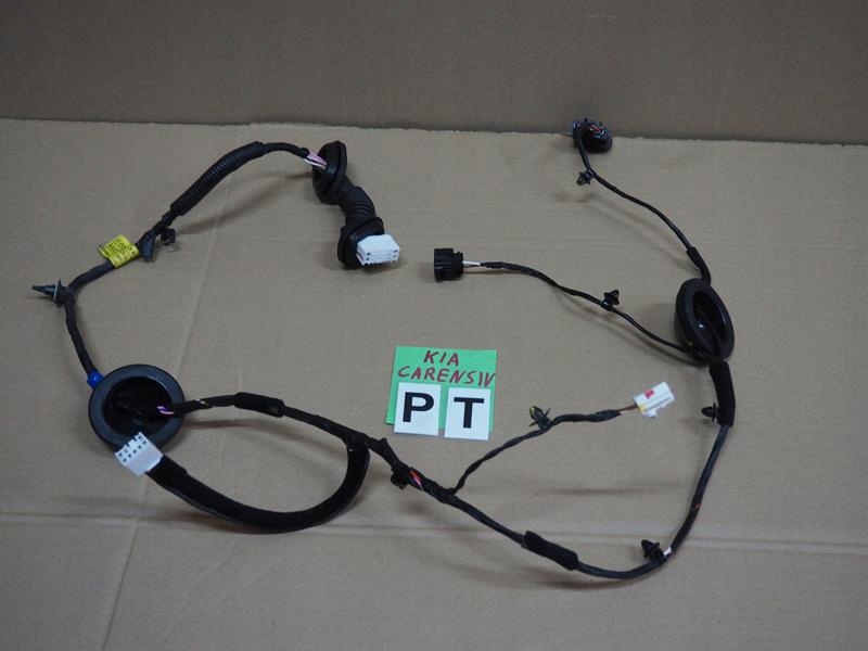 фото №1, Электропроводка дверь правых задних kia carens iv