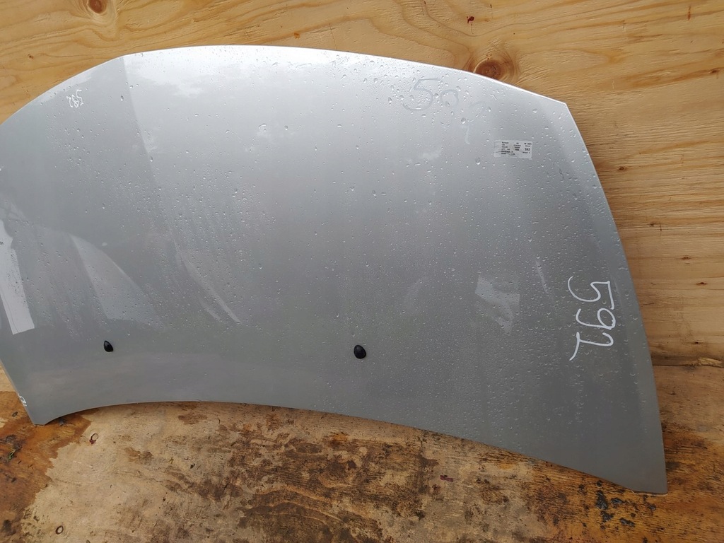 фото №7, Renault clio iii капот ted69