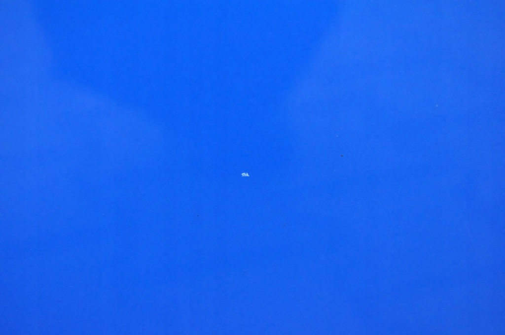 фото №7, Opel corsa f двері правий перед передні 5d