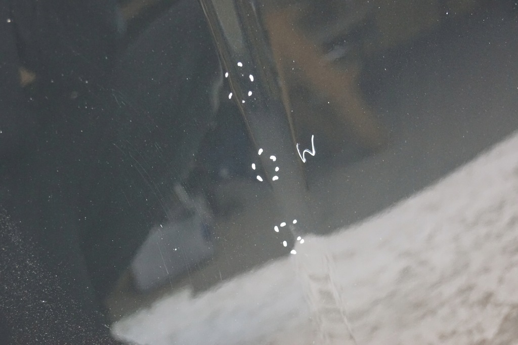 фото №10, Капот кришка двигуна toyota auris i