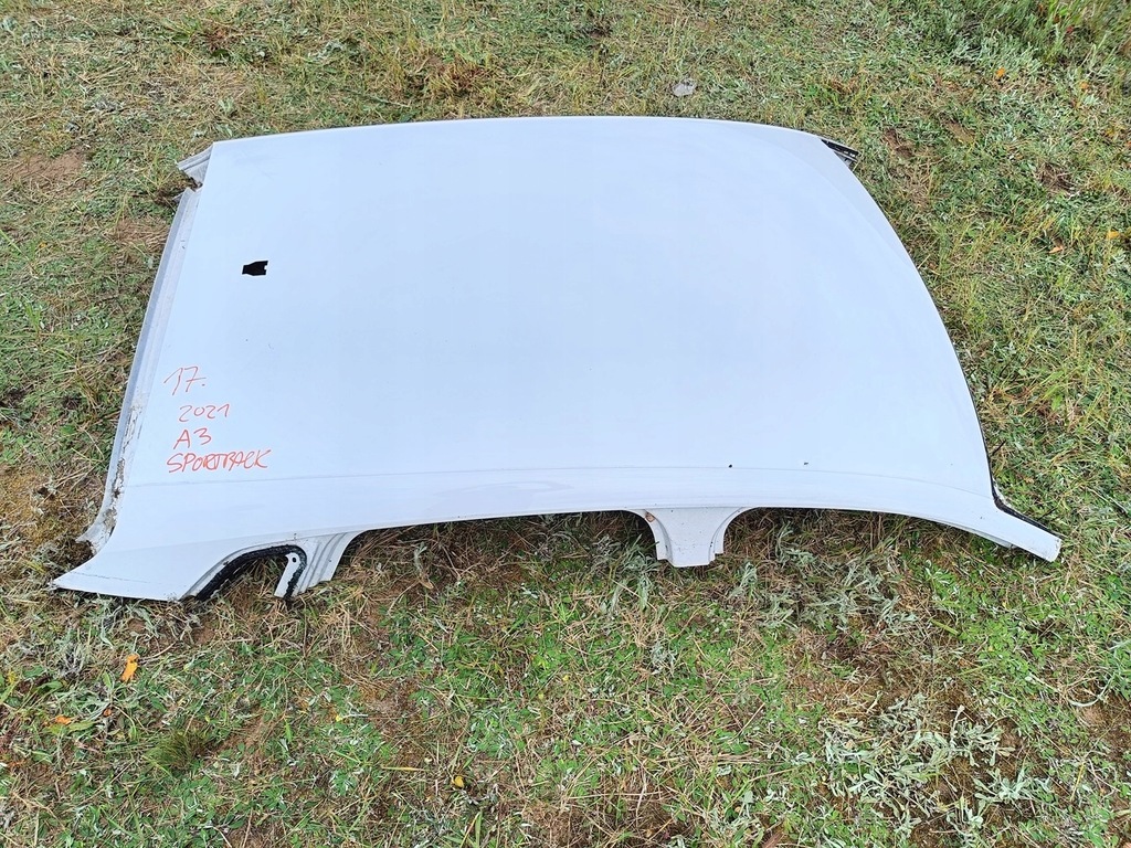 фото №1, Audi a3 8y sportback дах