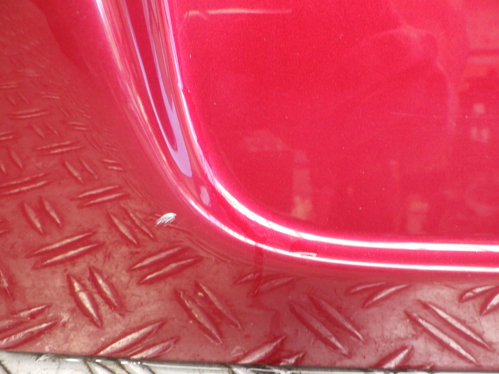 фото №7, Кришка багажника задня задня lexus is220