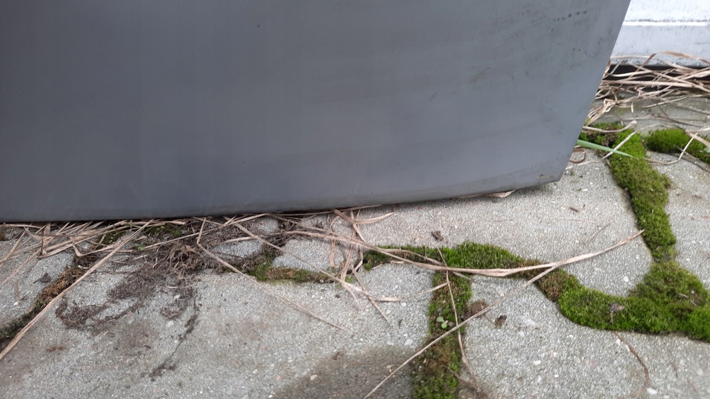 фото №6, Задня кришка багажника renault espace iv 04r tea19