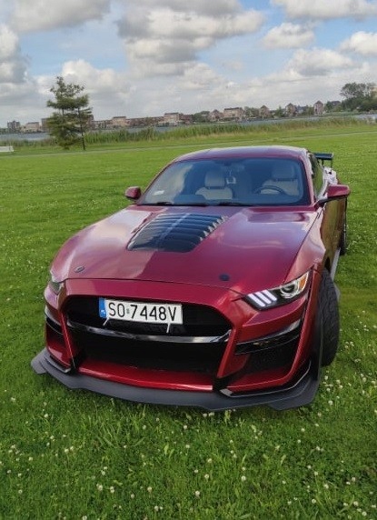 Капот алюминиевая gt500 стиль - niepomalowana mustang 2015-2017 v6, gt, ecob с Разборки