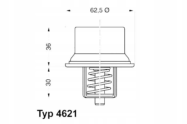 фото №2, Термостат wahler