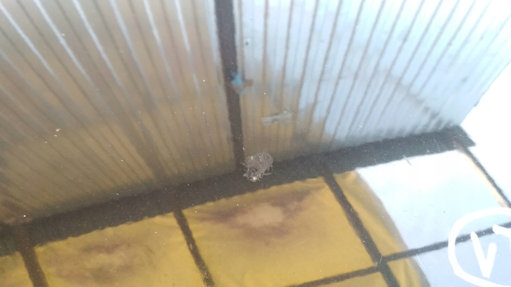 фото №7, Капот peugeot 207 sw kombi цвет exld оригинал