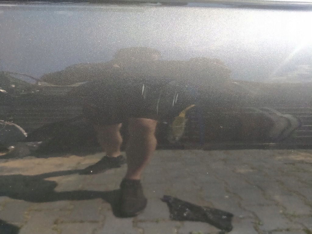 фото №2, C4 cactus дверь правое evlc