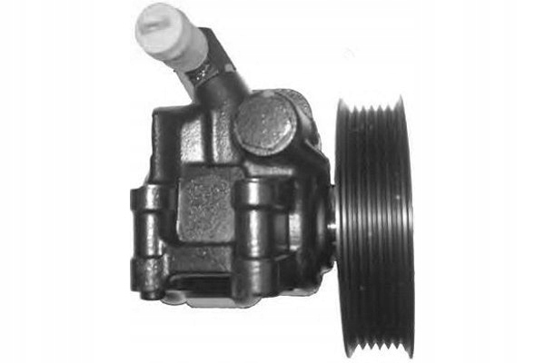 фото №2, Насос підсилювача ricambi pi0202 ford fiesta iv ka 96-08 general