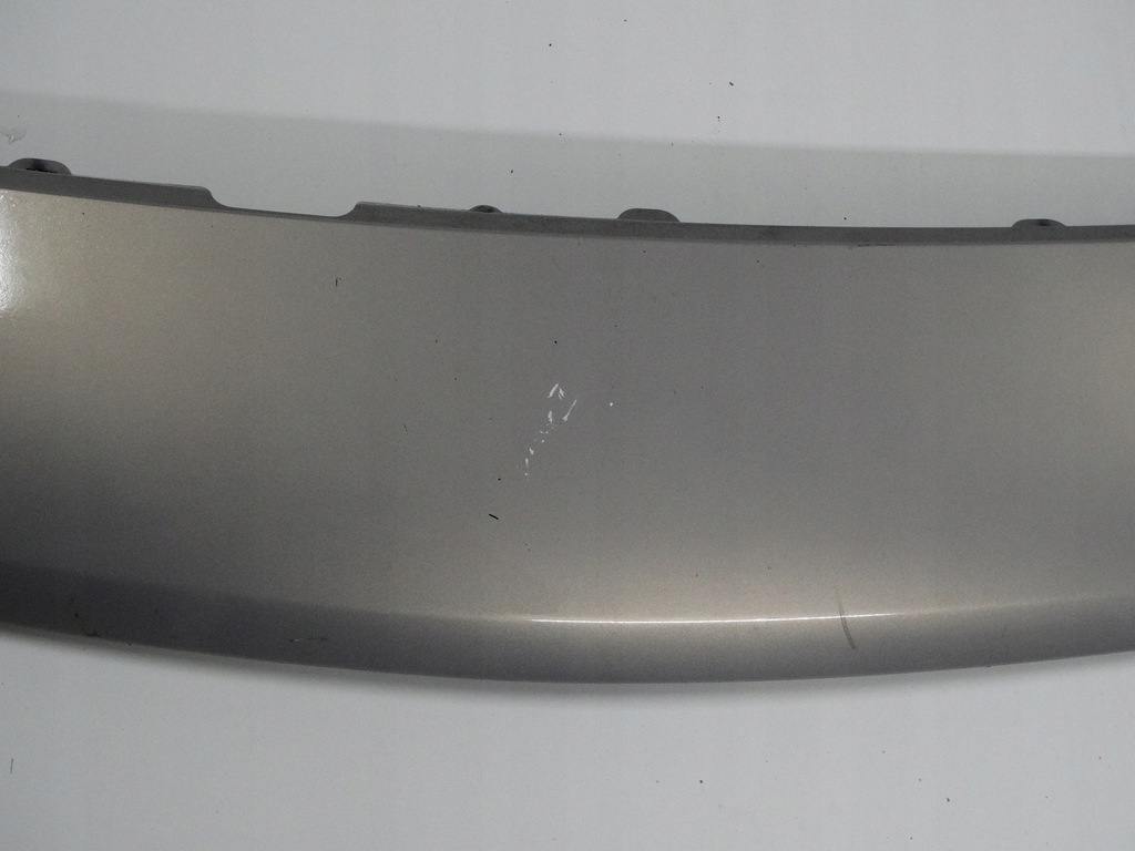 фото №4, Защита перед renault scenic ii