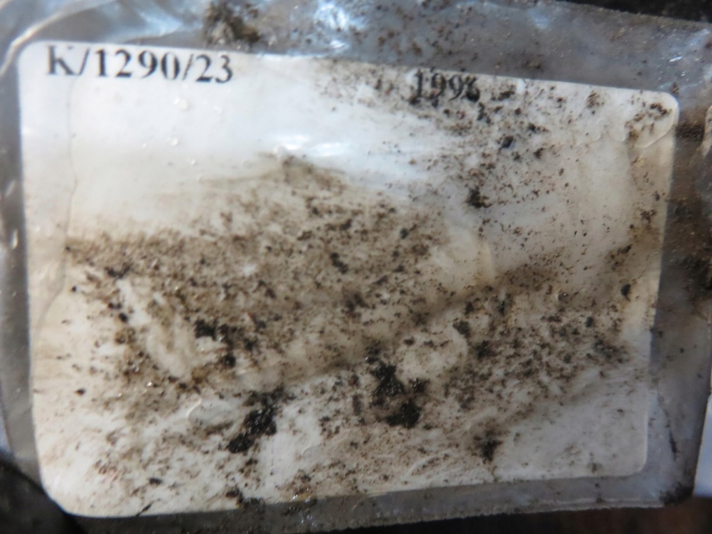 фото №2, Ресора перед nissan trade