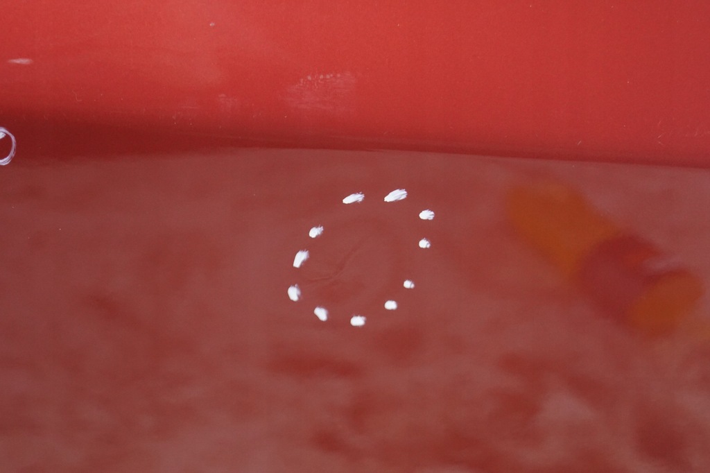 фото №11, Дверь правый перед bmw x3 e83 470