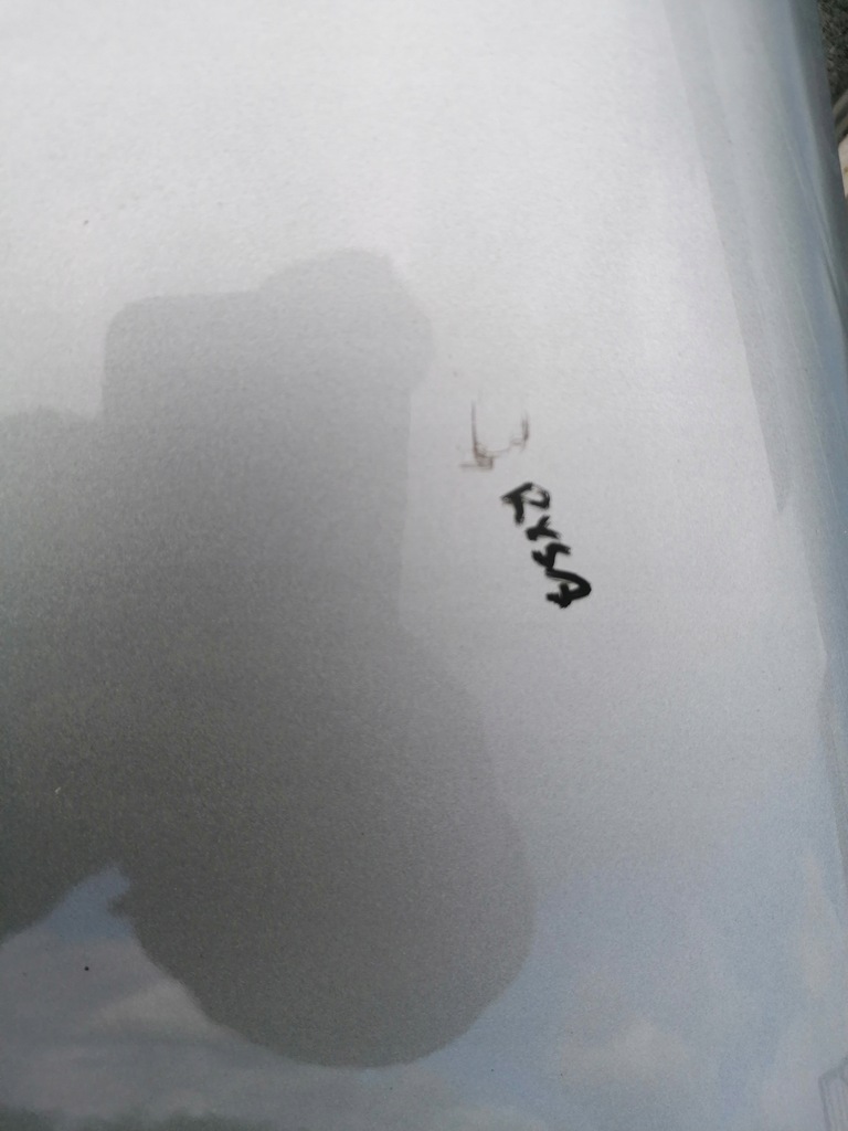 фото №6, Крыло правый перед nissan qashqai j10 +2 ky0 7-10