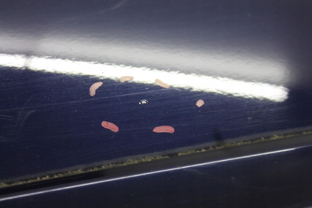 фото №6, Двері лівий задня задні seat exeo sedan kol. lw5u 08-13