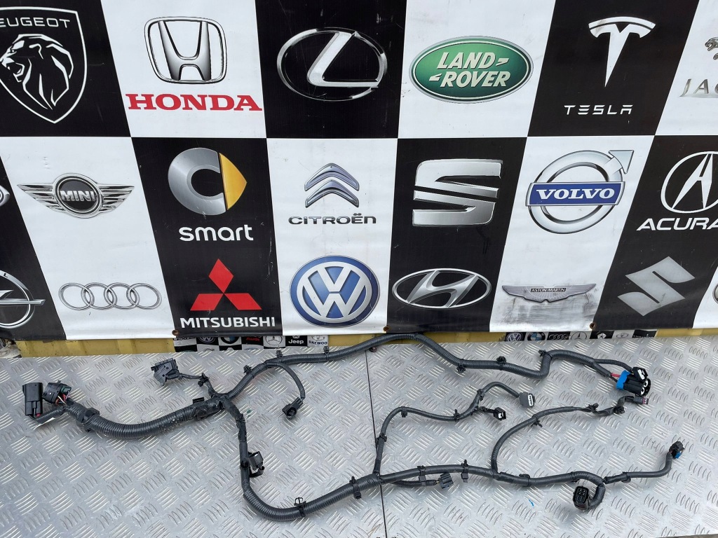 фото №1, Nissan ariya електропроводка двигуна