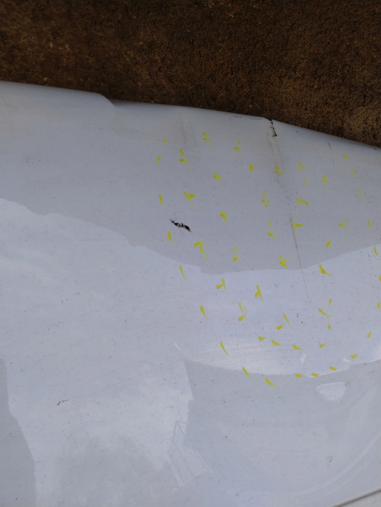 фото №7, Двері лівий задня задні master iii 3 lift renault