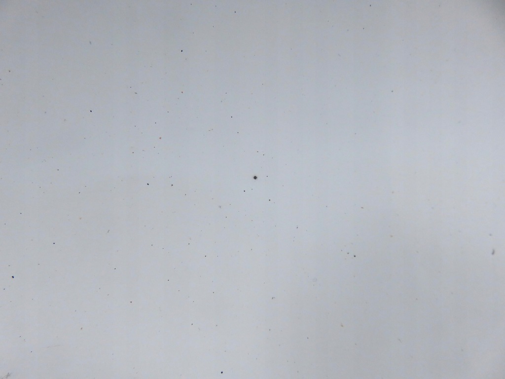 фото №12, Кришка багажника багажника kia sportage iii wd