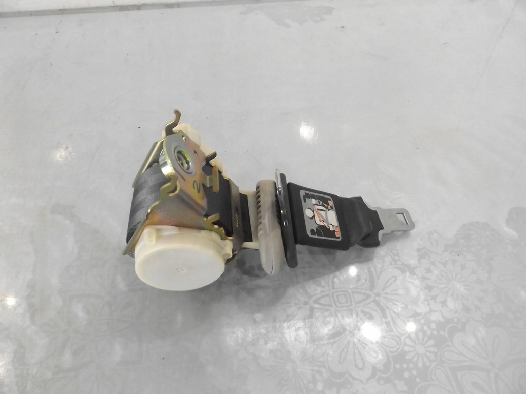 фото №2, Modus pas задня середній