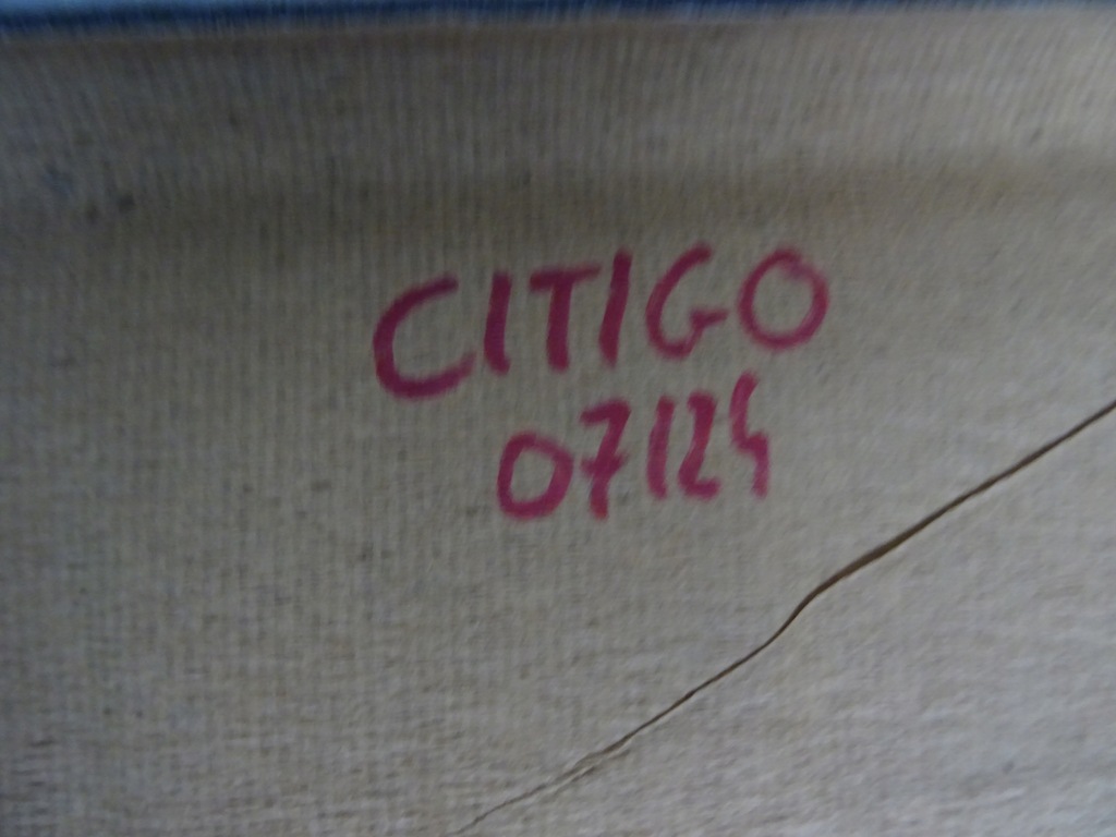 фото №15, Skoda citigo 1.0 mpi стеля 1sl867501 12.2018 r версія 3d