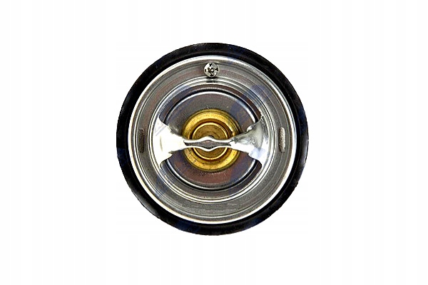 фото №11, Термостат audi a8 07- a6 avant nty